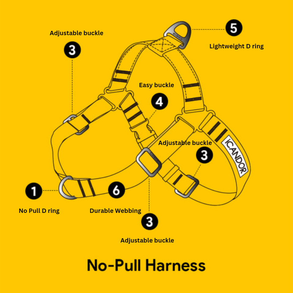 No Pull Harness - Big Fish